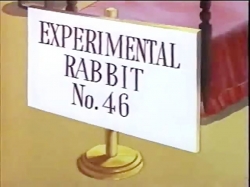 باگز بانی (باگزبانی موش آزمایشگاهی می شود)